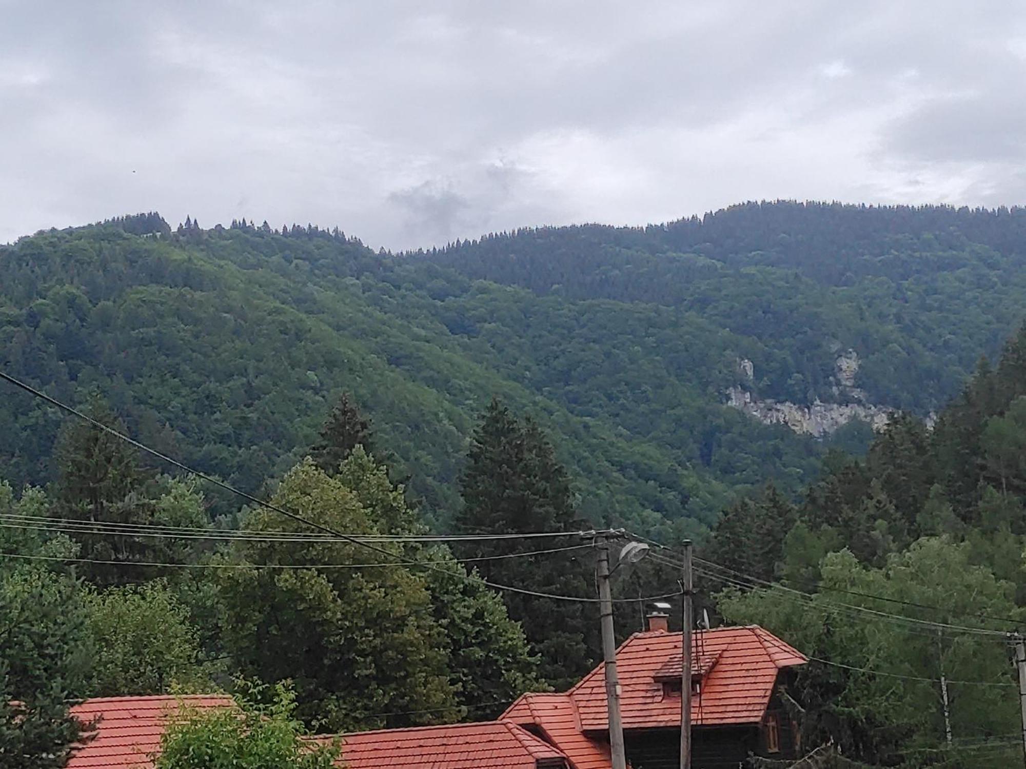 Penzion Smrekovica Ruzomberok Buitenkant foto